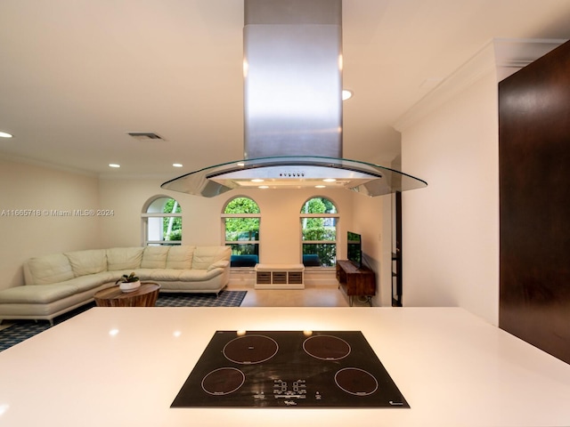 kitchen with island range hood, black electric cooktop, and ornamental molding