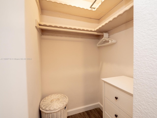 spacious closet with dark wood-type flooring