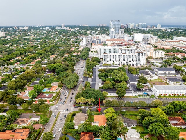 bird's eye view