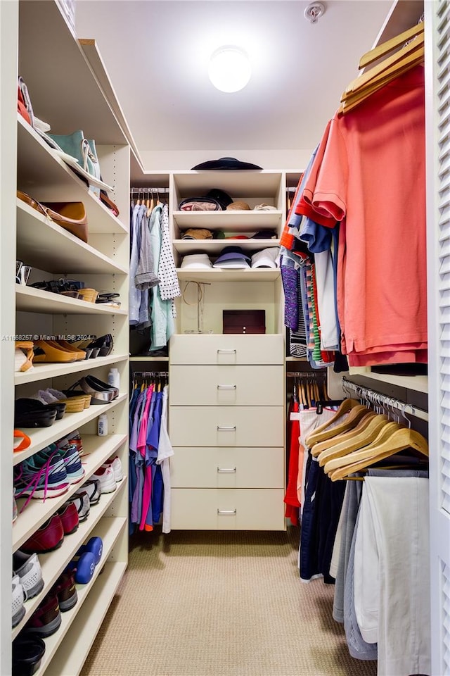 spacious closet featuring light carpet