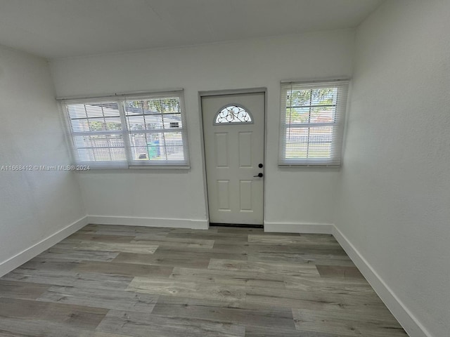 foyer with light hardwood / wood-style flooring