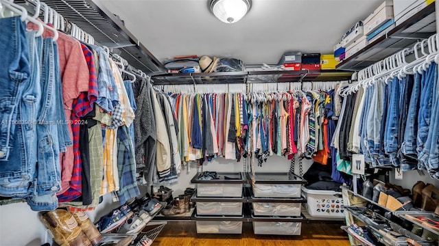 spacious closet with hardwood / wood-style flooring