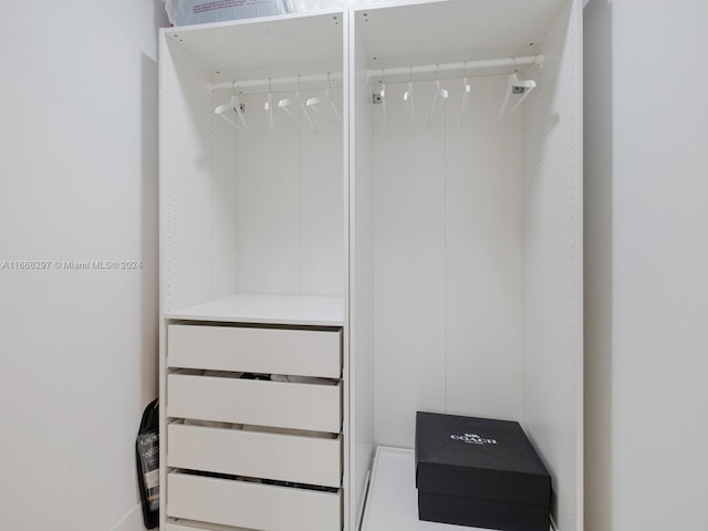 view of walk in closet