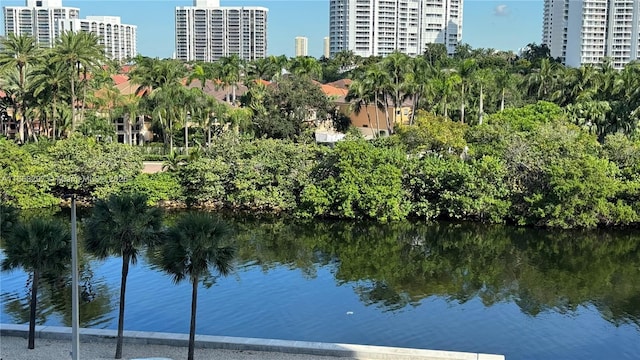 20505 E Country Club Dr Unit 531, Aventura, FL 33180 - property view of water featuring a city view