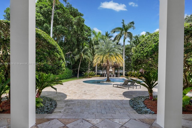 view of pool featuring a patio