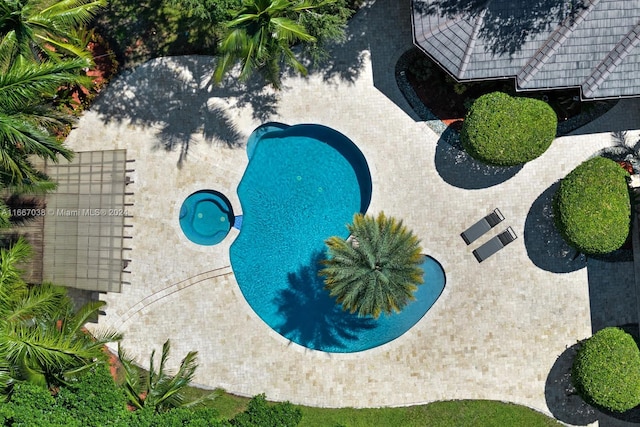 view of pool featuring a patio