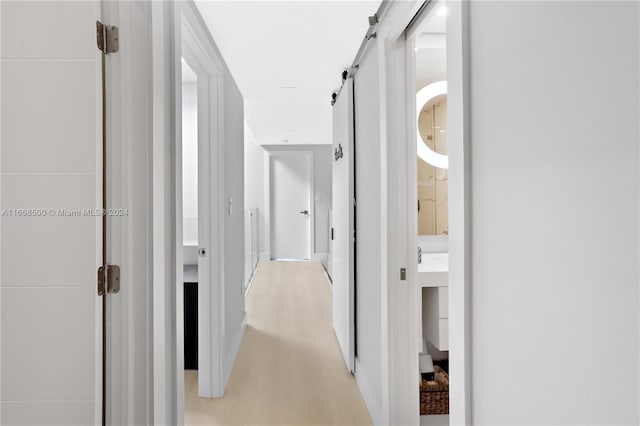 hall featuring a barn door and light hardwood / wood-style floors