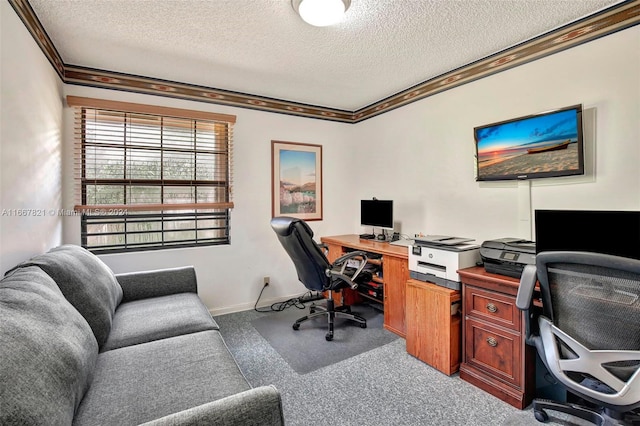 carpeted office space featuring a textured ceiling and ornamental molding