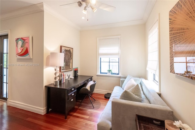 office featuring ceiling fan, crown molding, and dark hardwood / wood-style flooring