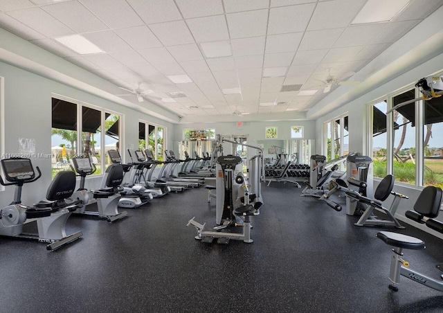 workout area with a drop ceiling and ceiling fan