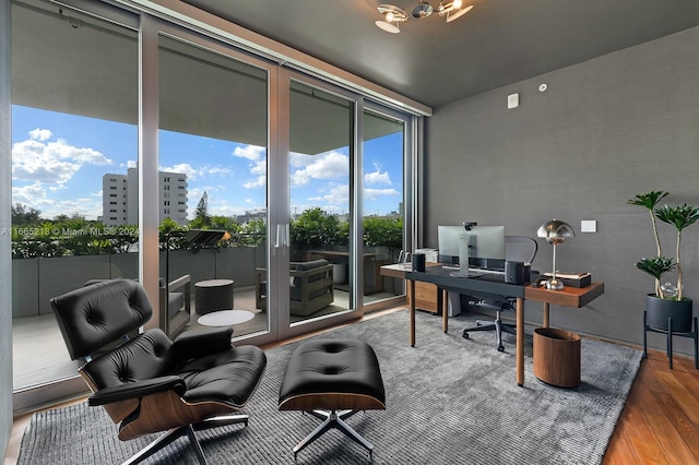 office featuring wood-type flooring