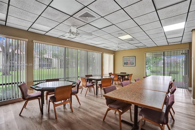 dining area featuring ceiling fan, light hardwood / wood-style flooring, and a paneled ceiling