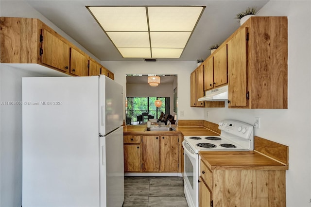 kitchen with dark hardwood / wood-style flooring, white appliances, and sink