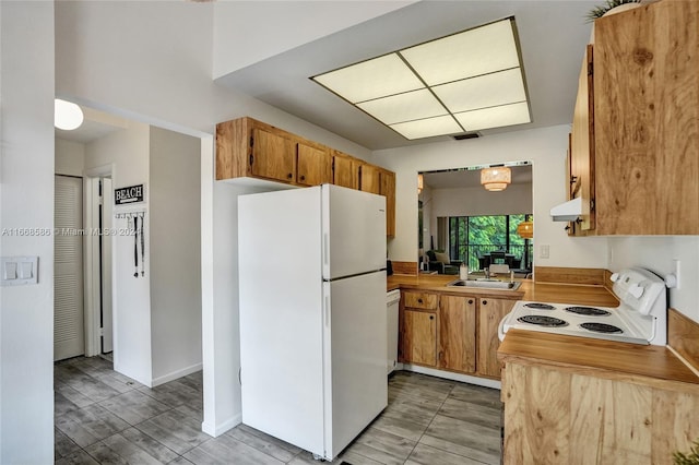 kitchen with hardwood / wood-style flooring, sink, and white appliances