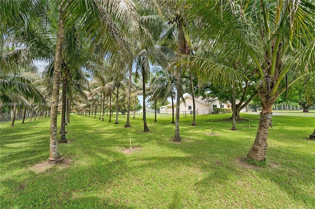 view of home's community featuring a lawn