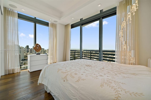 bedroom featuring multiple windows and dark wood-type flooring