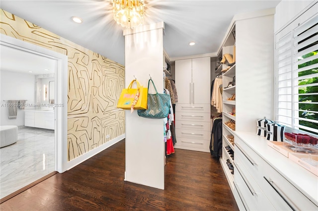 spacious closet with dark wood-type flooring