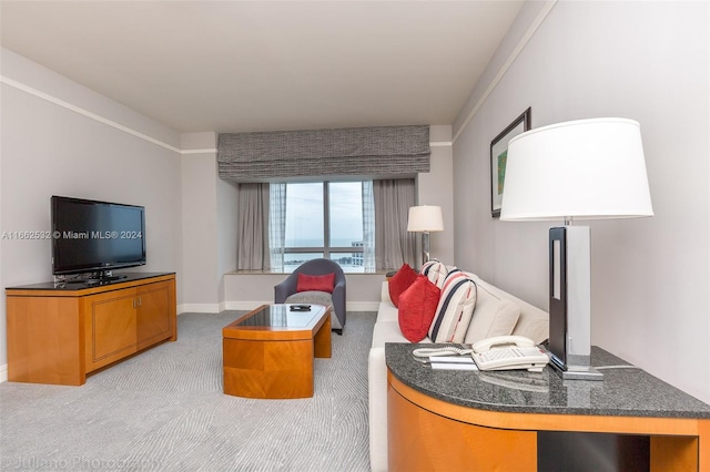 view of carpeted living room