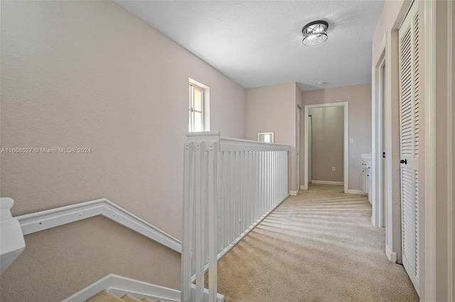 hall with light colored carpet