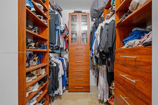 walk in closet with light carpet