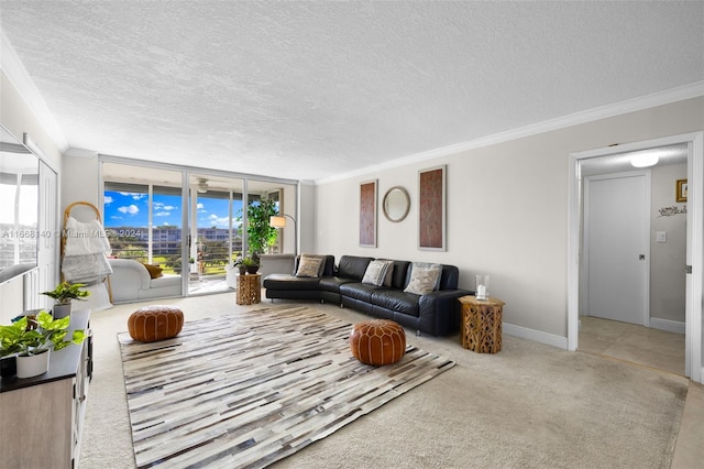 living room with a textured ceiling and a healthy amount of sunlight