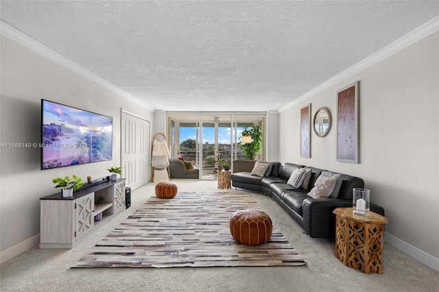 living room with a textured ceiling and crown molding