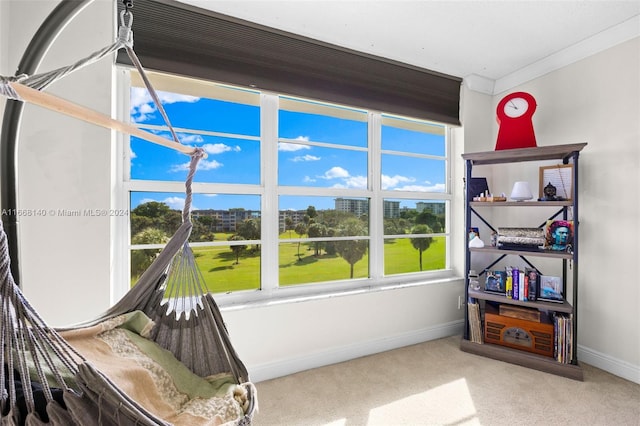 interior space with crown molding and carpet flooring