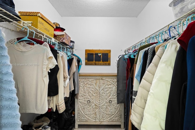 view of walk in closet