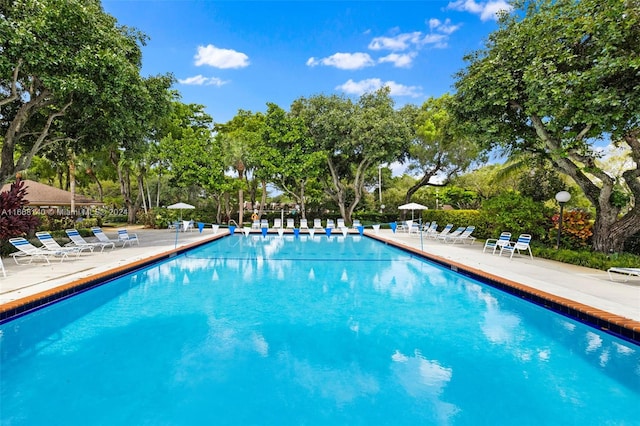 view of swimming pool featuring a patio