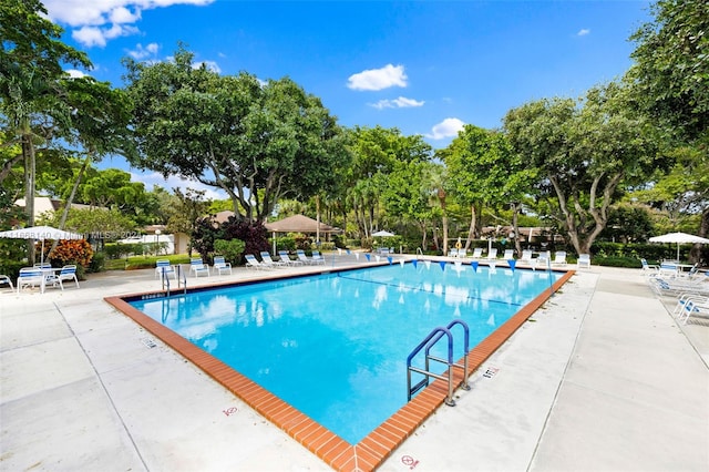 view of swimming pool with a patio