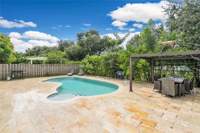 view of swimming pool with a patio