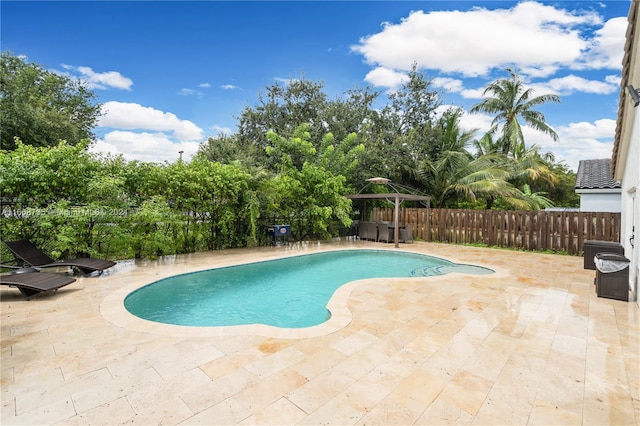 view of swimming pool featuring a patio