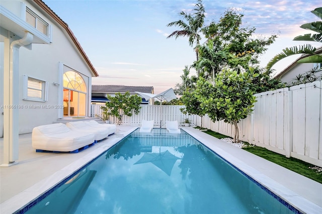 view of swimming pool featuring a fenced in pool and a fenced backyard