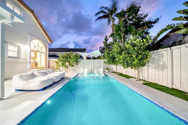 view of swimming pool featuring a fenced backyard and a fenced in pool