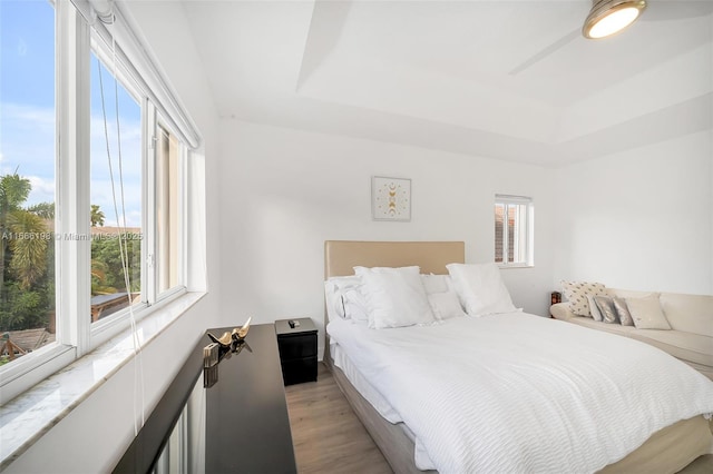 bedroom featuring multiple windows, a raised ceiling, and light wood-style floors