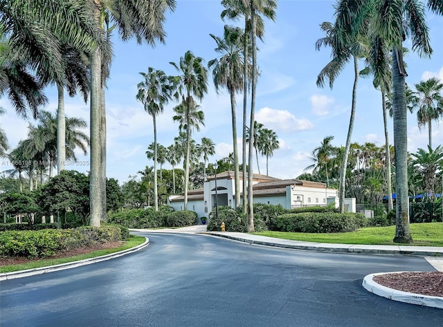 view of road with curbs