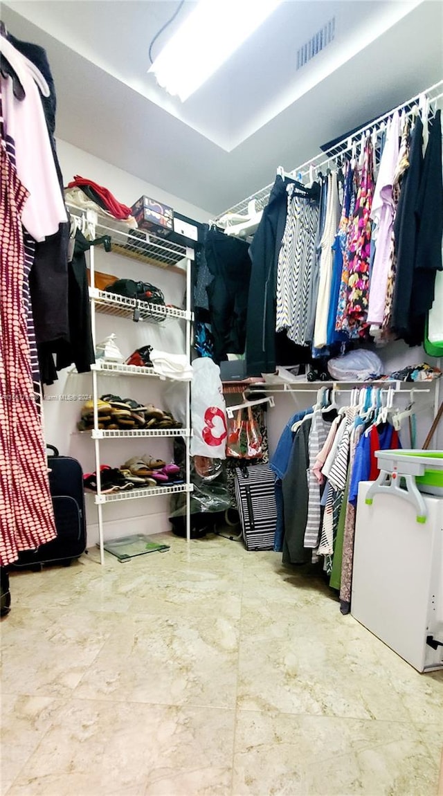 view of spacious closet