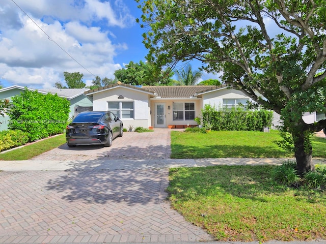 ranch-style house featuring a front yard