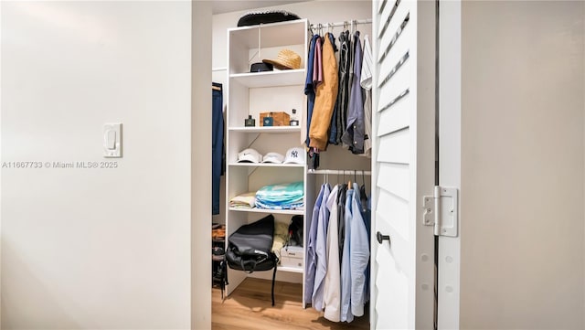 view of closet