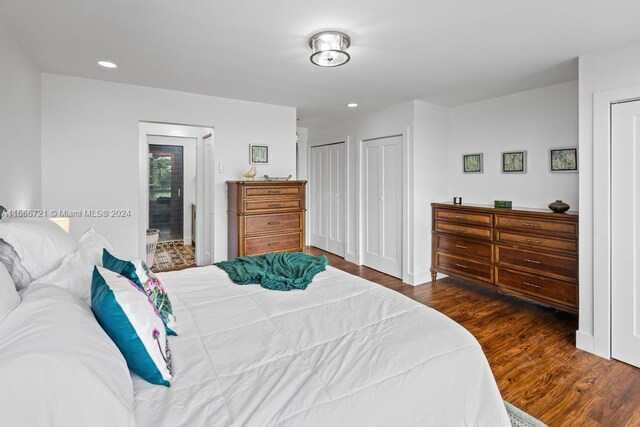 bedroom with two closets and dark wood-type flooring