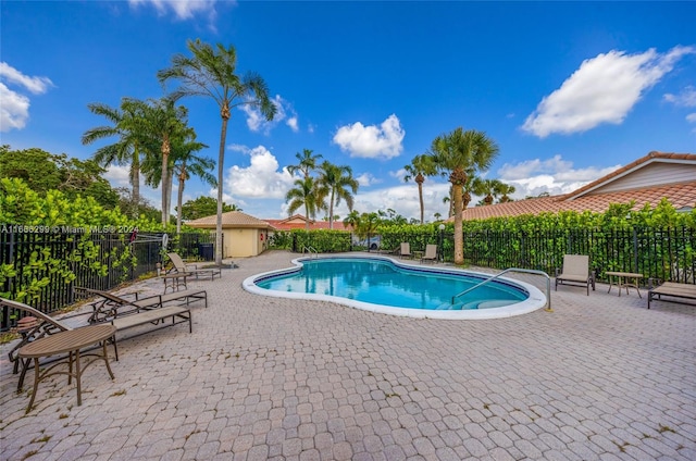 view of pool featuring a patio