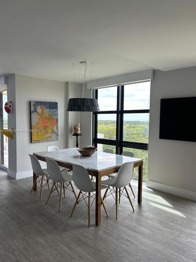 dining room with hardwood / wood-style floors