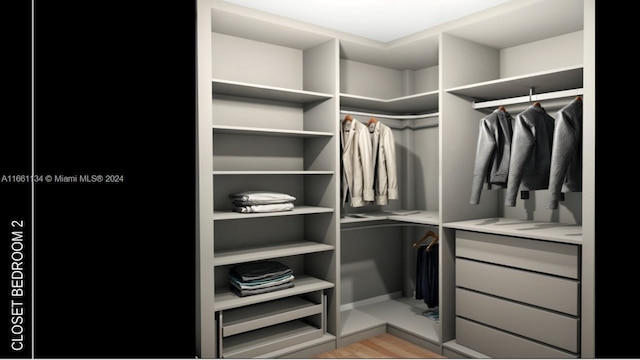 spacious closet featuring light wood-type flooring