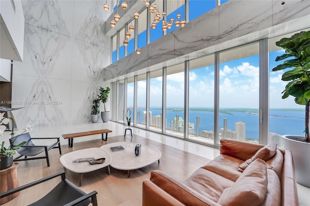 living room featuring hardwood / wood-style floors, a water view, and a healthy amount of sunlight