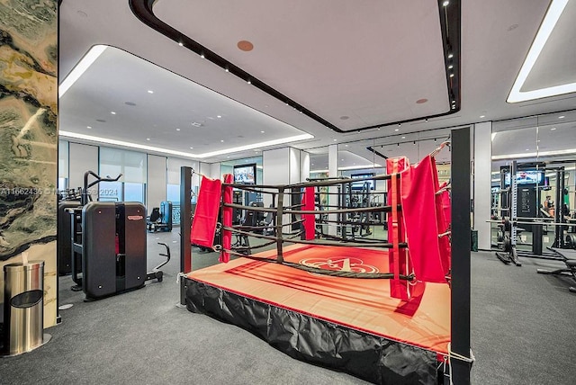 exercise room featuring a tray ceiling and carpet floors