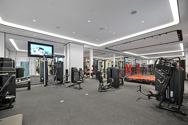 exercise room featuring a raised ceiling