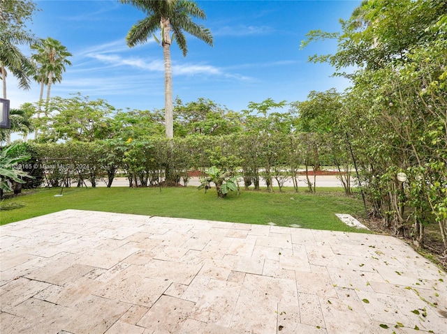 view of yard with a patio