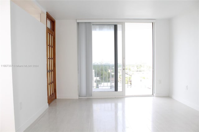 spare room with light hardwood / wood-style flooring and a wealth of natural light