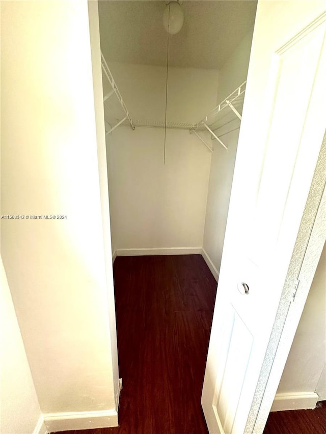 walk in closet featuring dark hardwood / wood-style floors