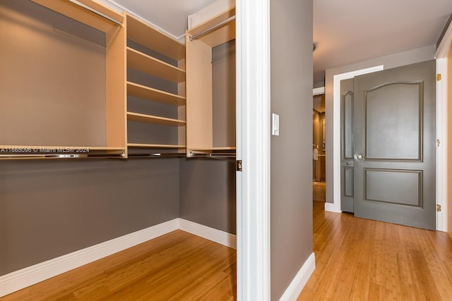 walk in closet with light hardwood / wood-style flooring